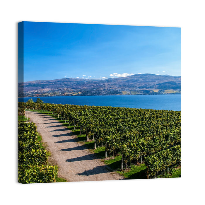Lake Okanagan Vineyard Path Wall Art as a canvas print