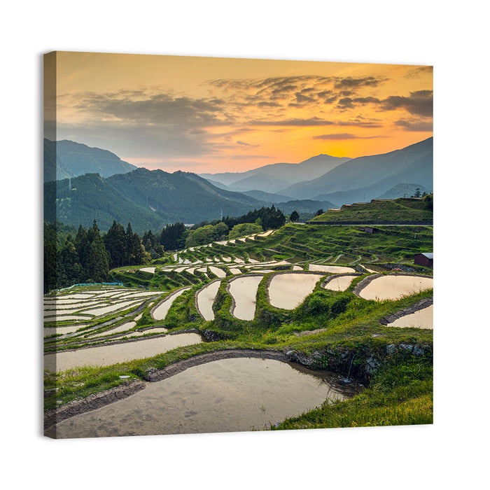 Sunset Over Japanese Rice Terraces Wall Art as a canvas print