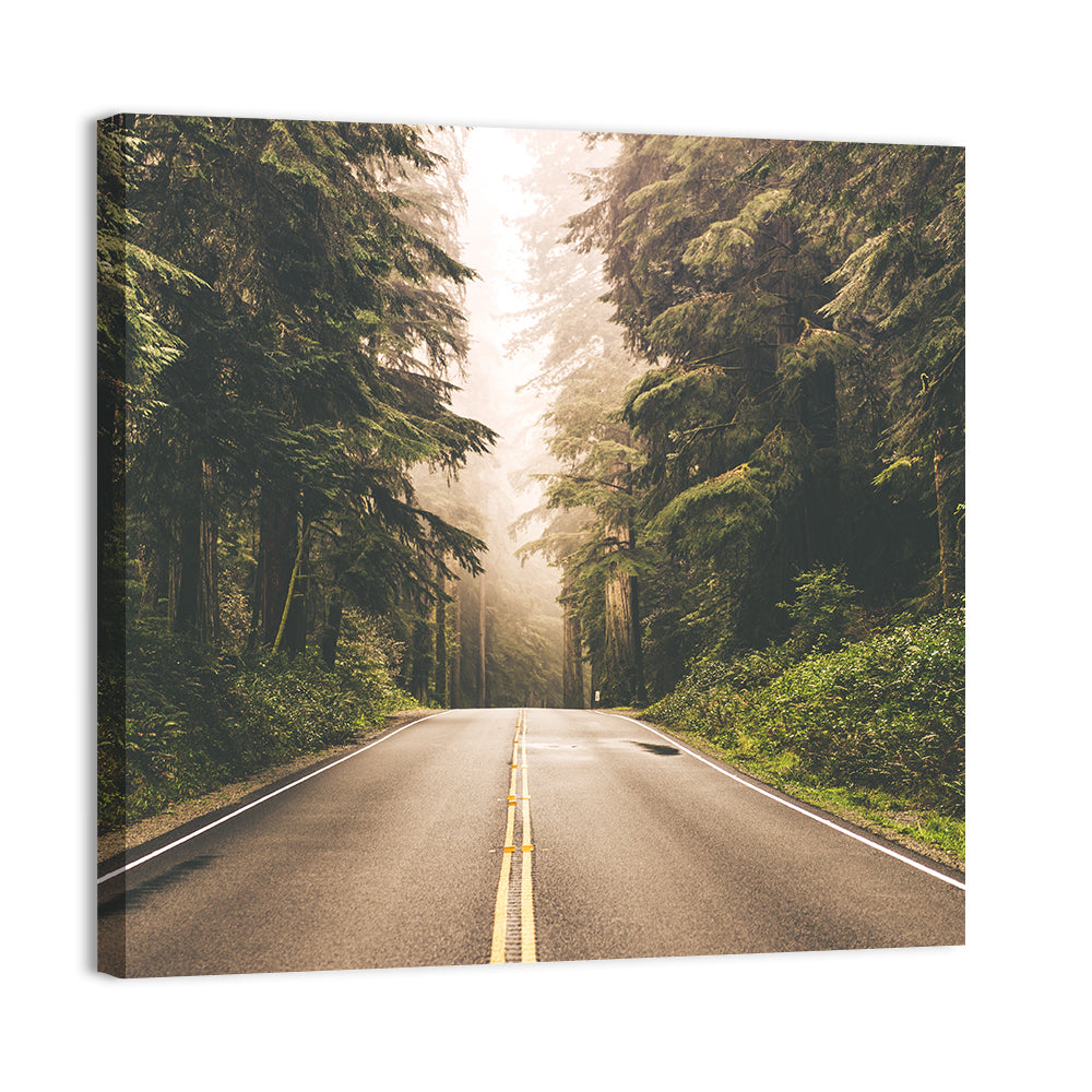 Redwood Highway In Northern California Wall Art