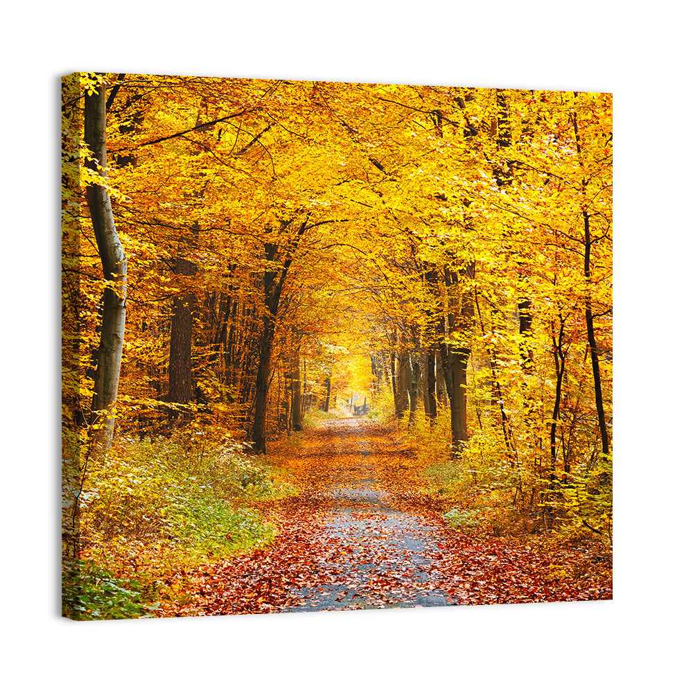 Autumn Forest Path Wall Art, canvas print, square