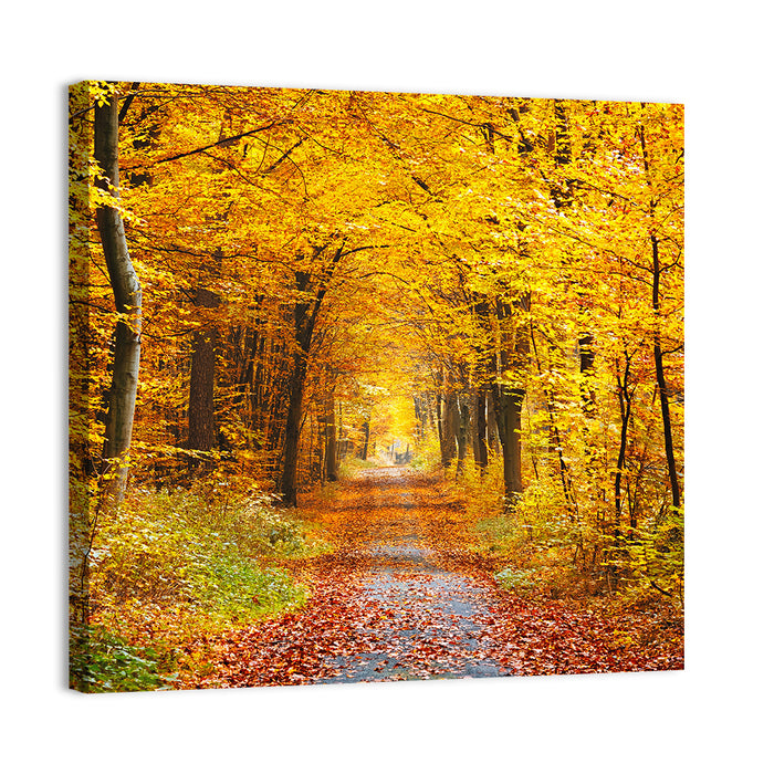 Autumn Forest Path Wall Art as a canvas print