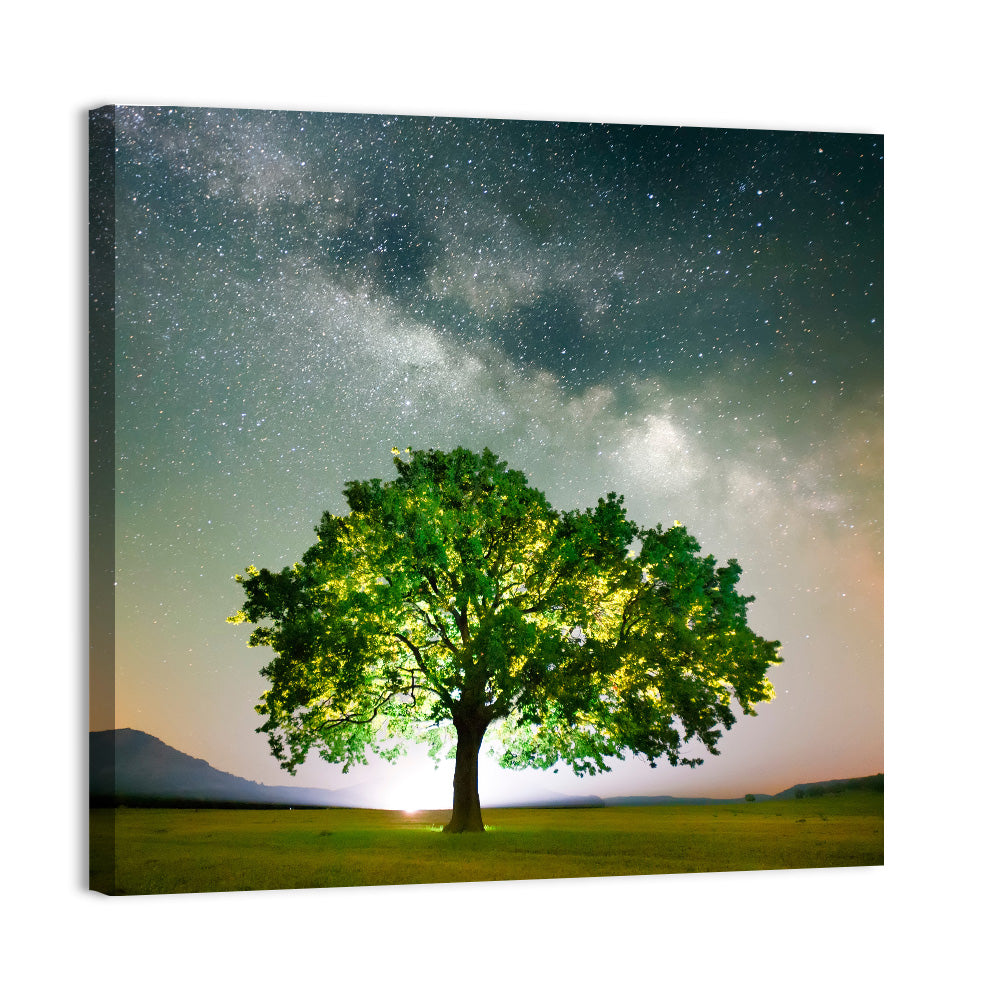 Lone Tree Under Milky Way Wall Art, canvas print, square