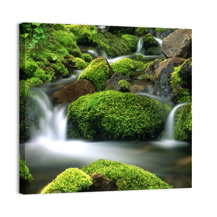 Mossy Mountain Stream Wall Art as a canvas print