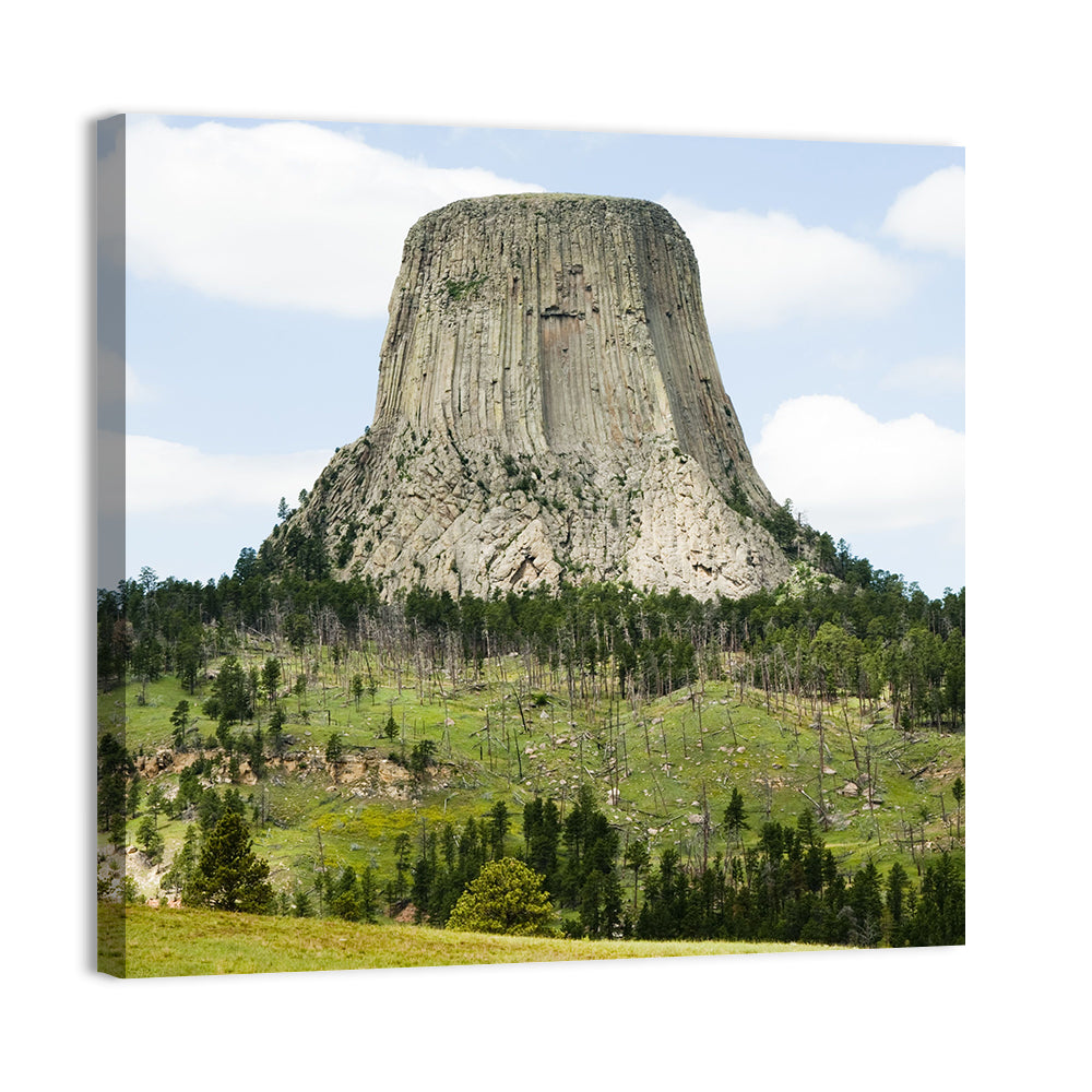 Devils Tower Columnar Monolith Wall Art, canvas print, square