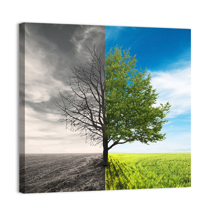 Split Tree in Field Wall Art as a canvas print