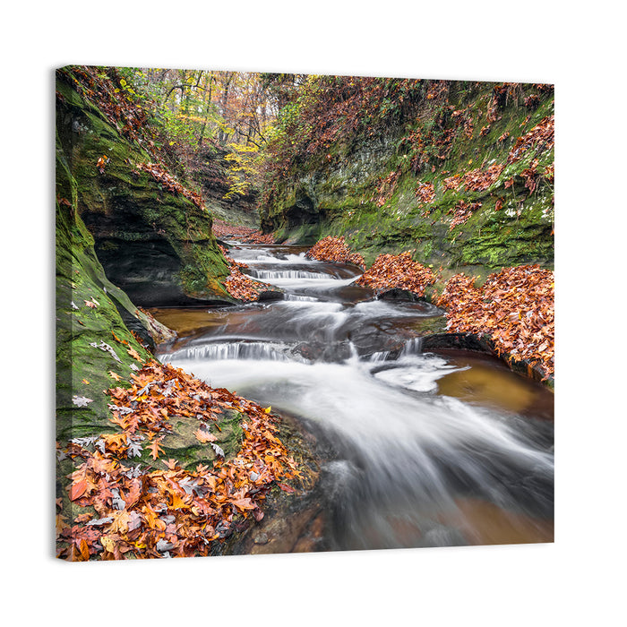 Warren County Autumn Cascades Wall Art as a canvas print
