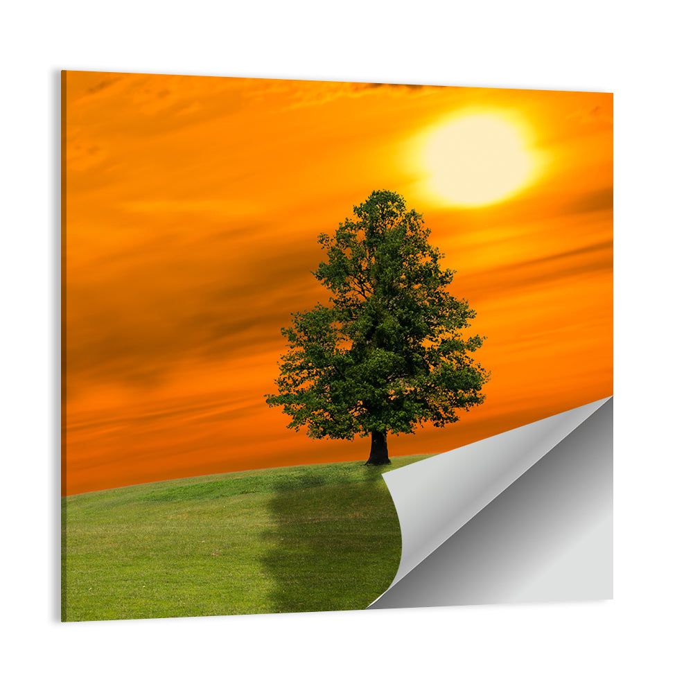 Lonely Tree On Green Field Wall Art