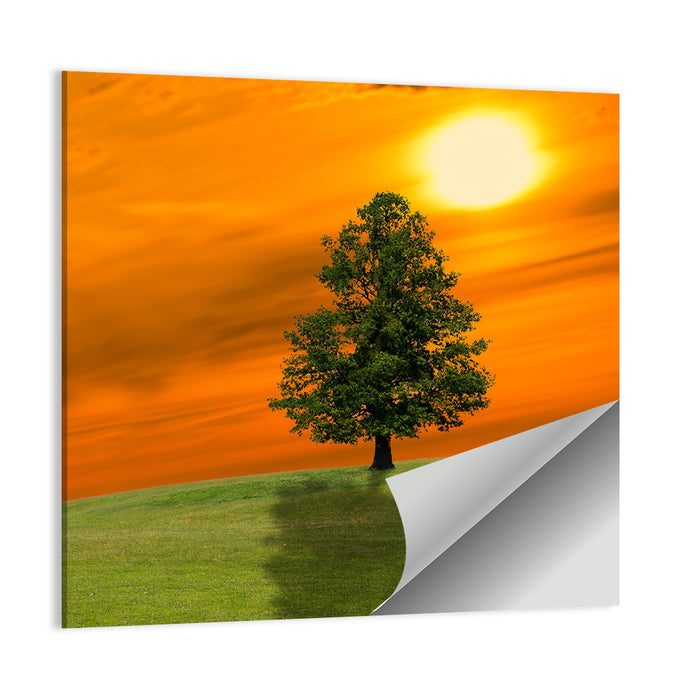 Lonely Tree on Green Hill at Sunset Wall Art as a poster print