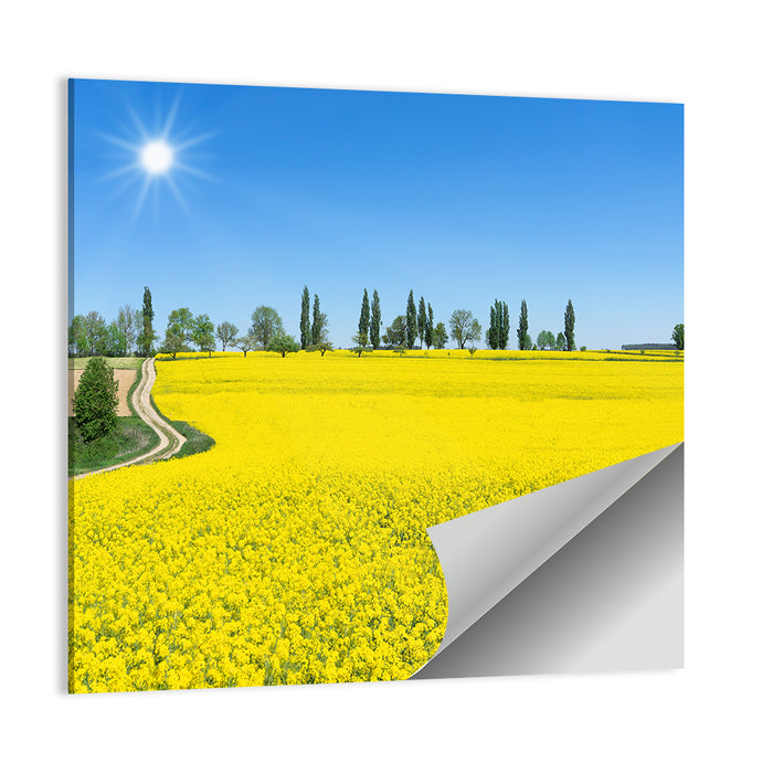 Winding Path Through Rapeseed Field Wall Art as a poster print