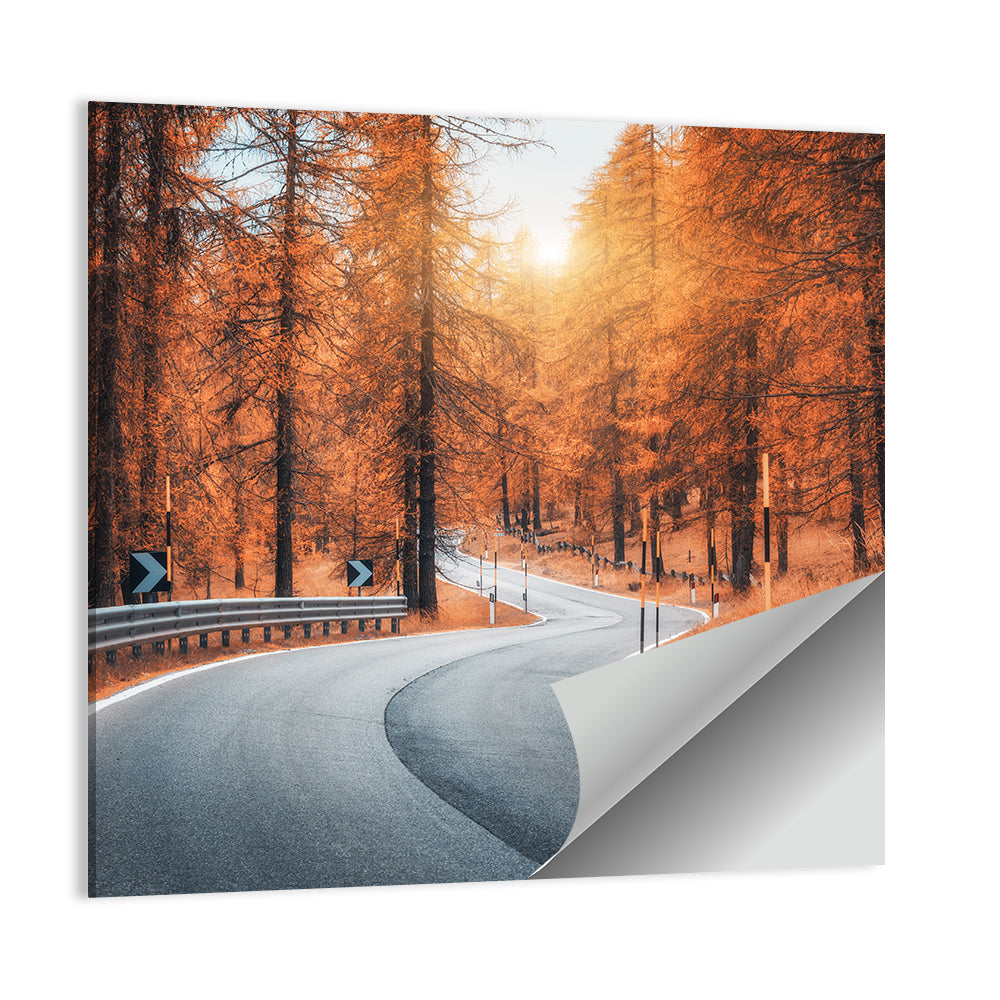 Road In Autumn Forest At Sunset Wall Art