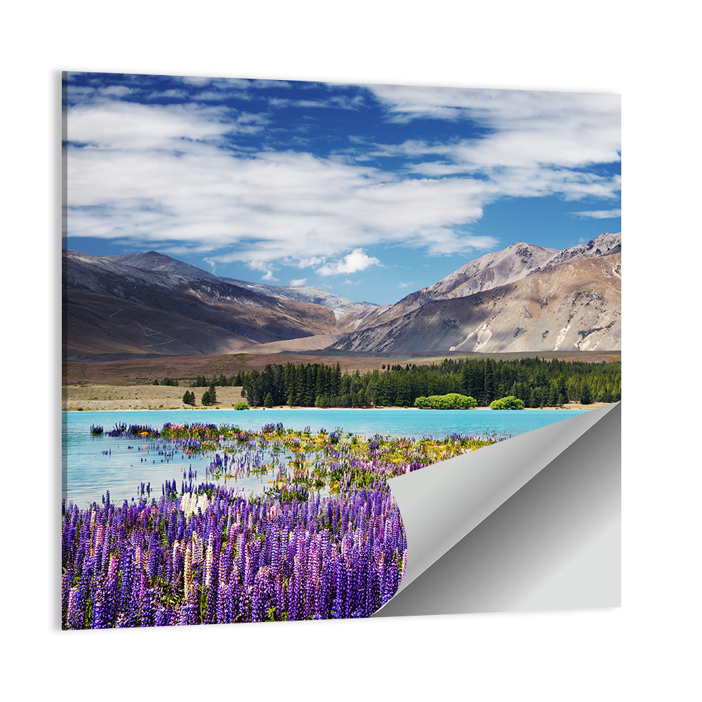 Lake Tekapo Wall Art