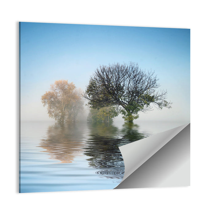 Misty Lake Reflection Wall Art as a poster print