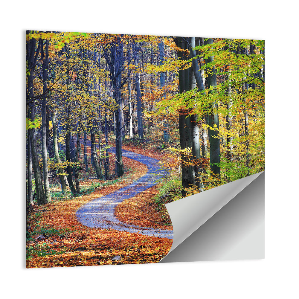 Winding Path Through Autumn Forest Wall Art