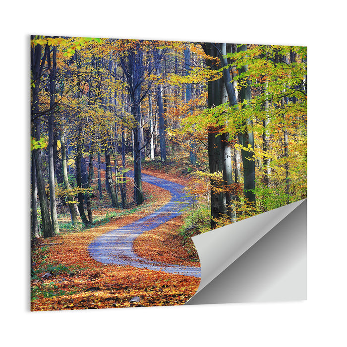 Winding Autumn Forest Path Wall Art as a poster print