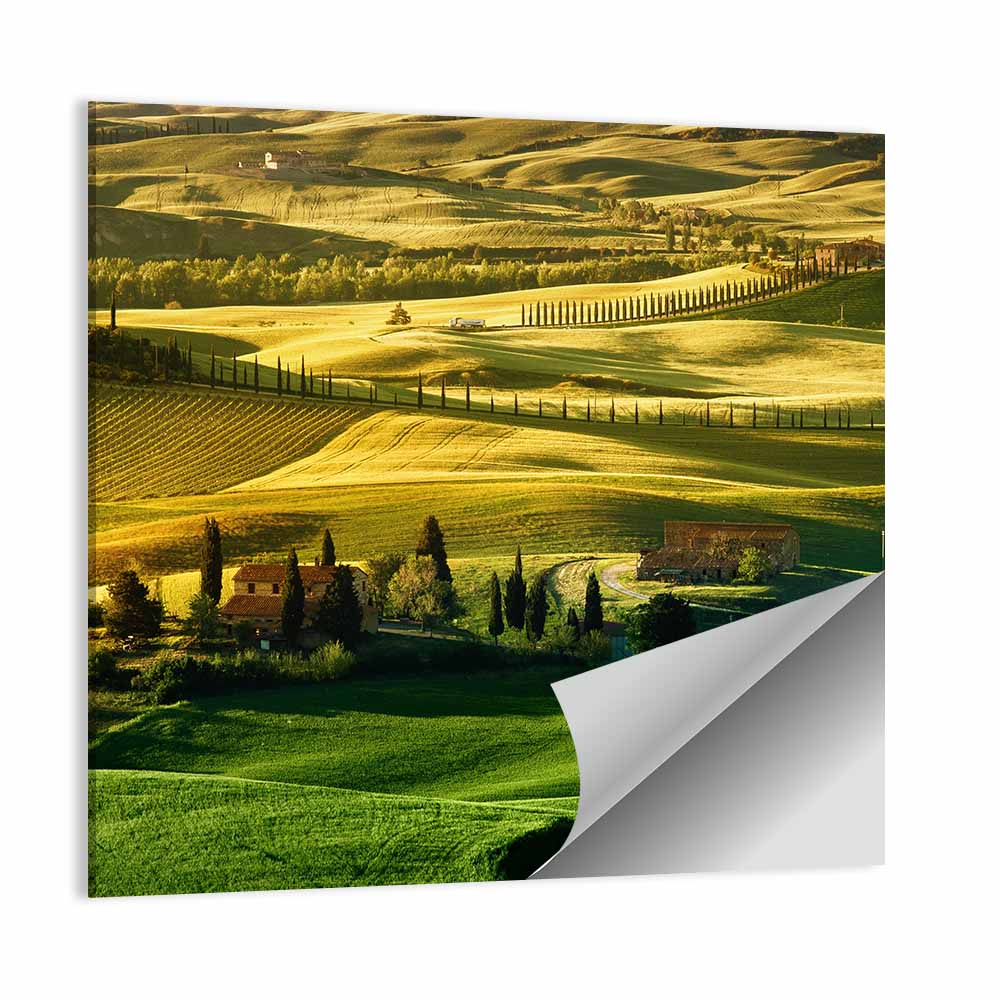 Fields Of Tuscany Wall Art