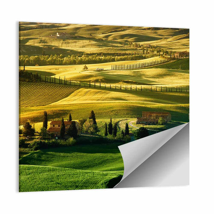 Tuscany Fields at Golden Hour Wall Art as a poster print