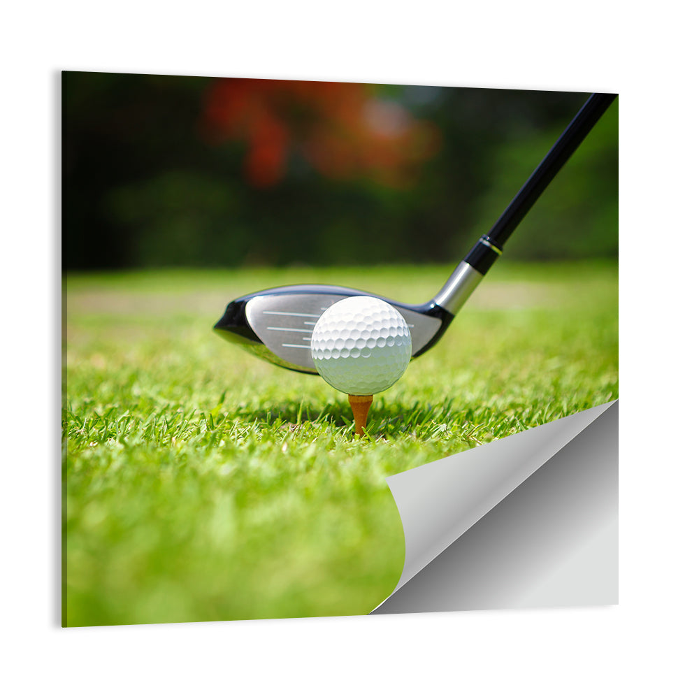 Golf Ball On Tee Wall Art
