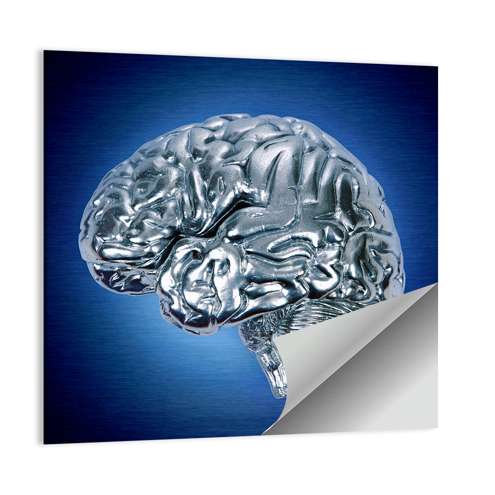 Chrome Brain Profile Wall Art