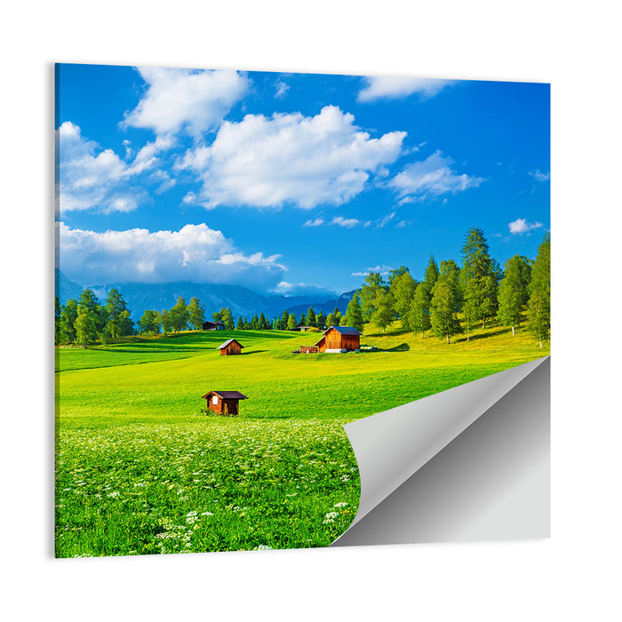 Alpine Valley Meadow, Austria Wall Art as a poster print