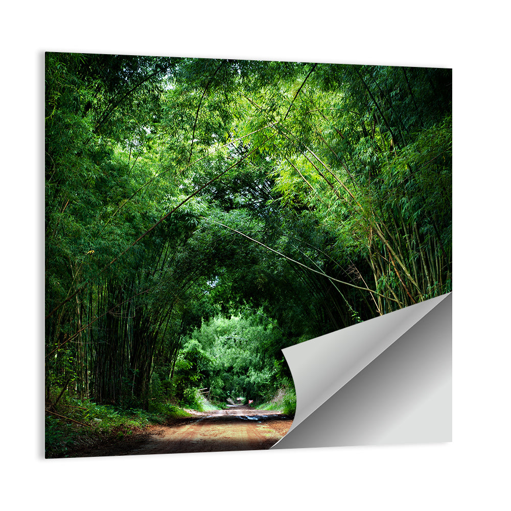 Road With Bamboo In Kyoto Wall Art