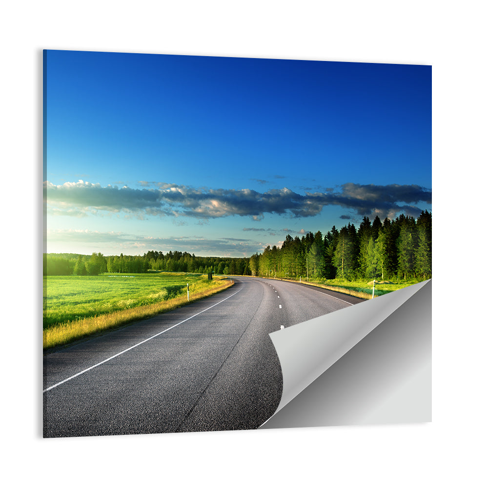 Road In Deep Forest Russia Wall Art