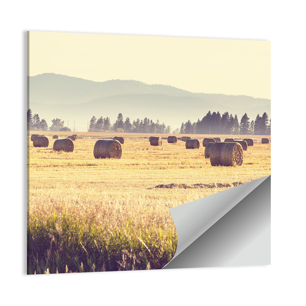 Hay Bales Field Wall Art