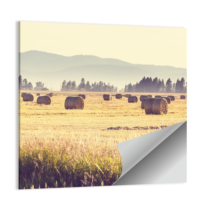 Golden Hay Bales Field Wall Art as a poster print