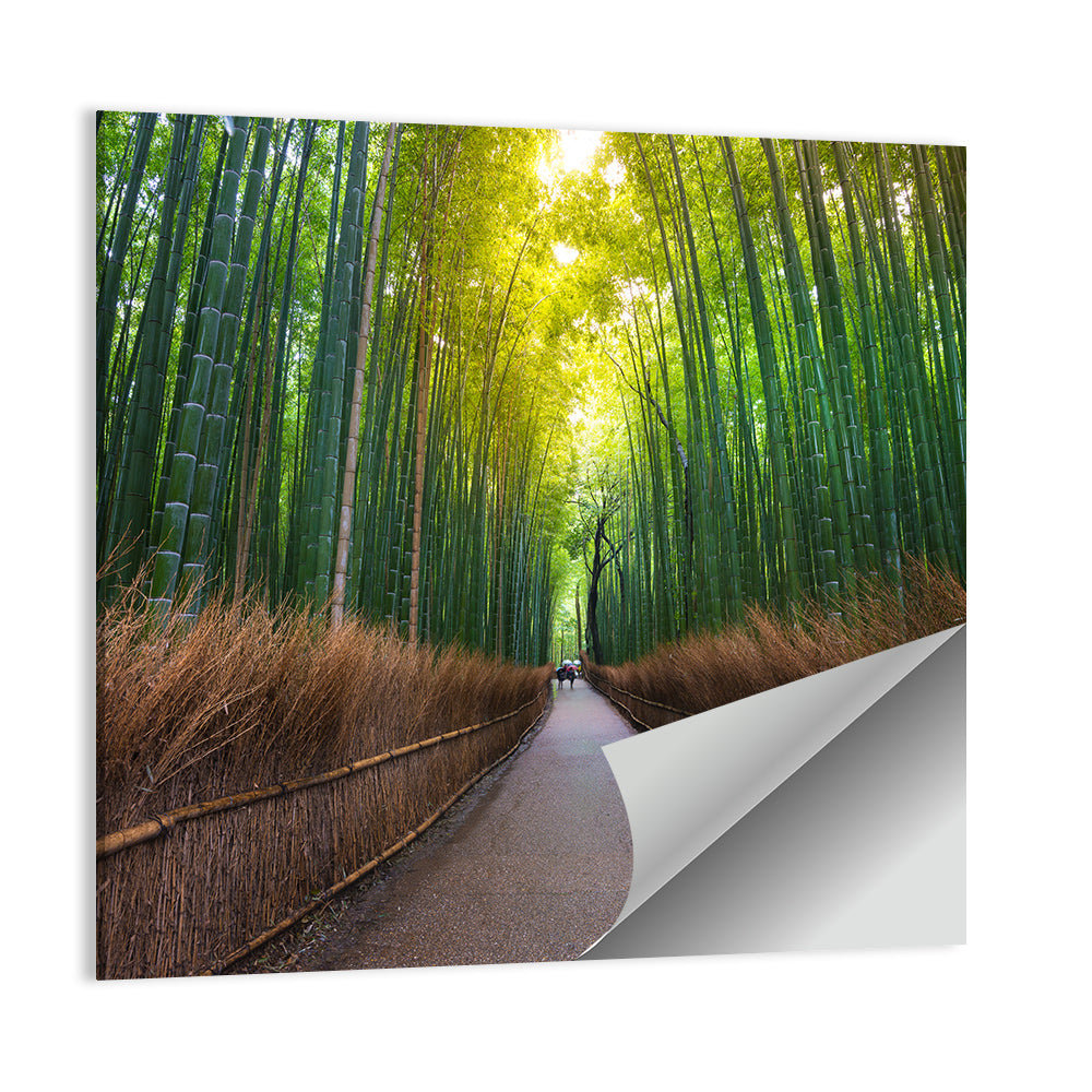 Bamboo Forest In Kyoto Wall Art