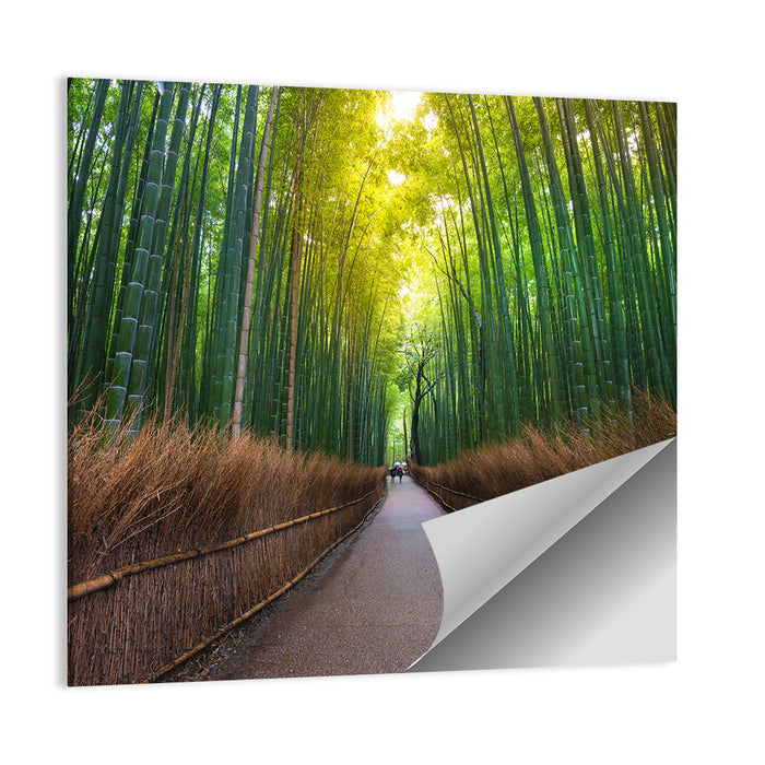 Kyoto Bamboo Forest Wall Art as a poster print