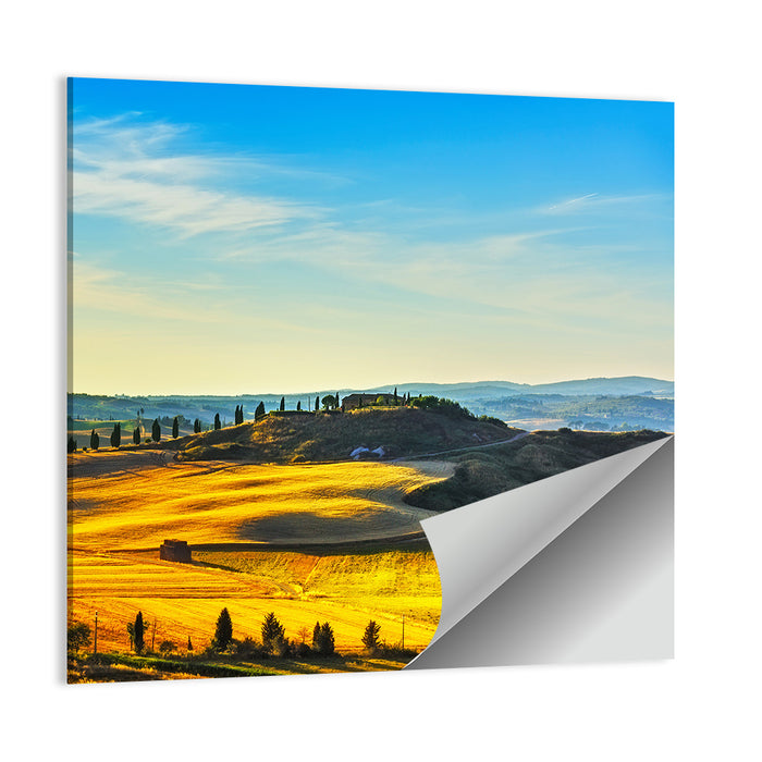 Cypress Trees Over Golden Fields Wall Art as a poster print