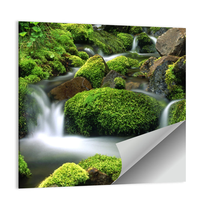 Mossy Mountain Stream Wall Art as a poster print