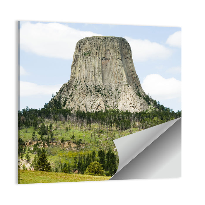 Devils Tower Columnar Monolith Wall Art as a poster print