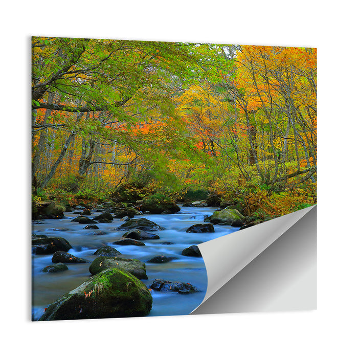 Oirase Gorge Autumn Stream Wall Art as a poster print