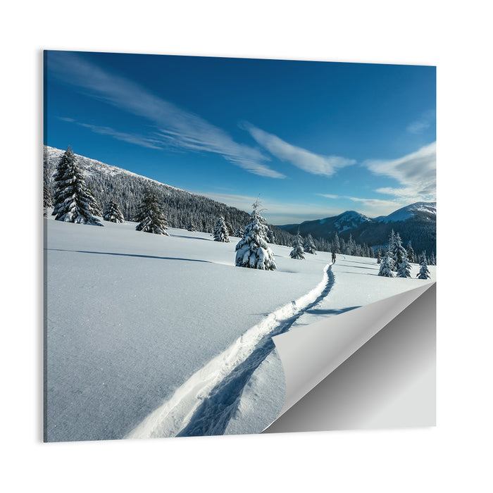 Snowy Carpathian Trail Wall Art as a poster print