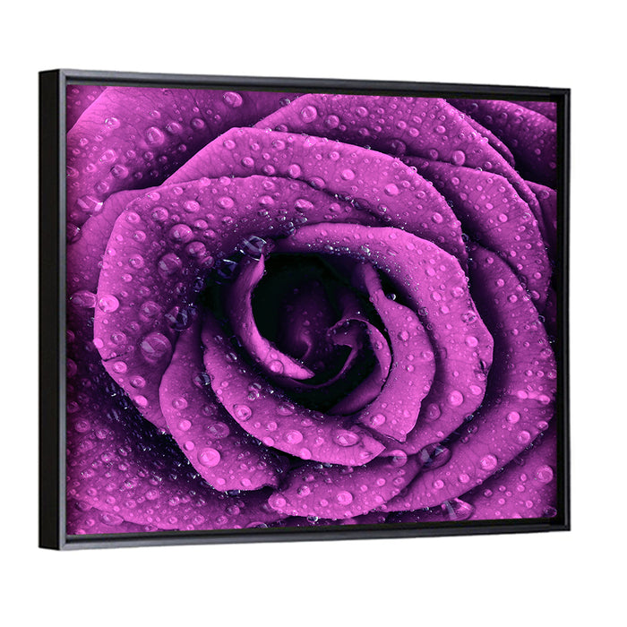 Rain Touched Purple Rose Wall Art as a framed canvas