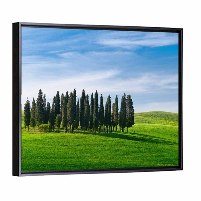 Tuscany Rolling Hills with Cypresses Wall Art as a framed canvas