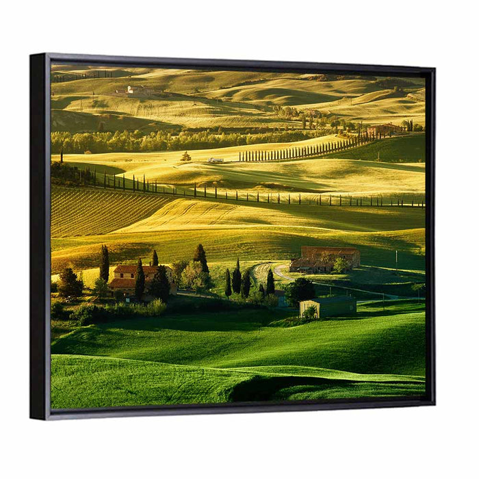 Tuscany Fields at Golden Hour Wall Art as a framed canvas