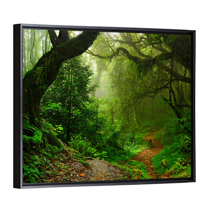Misty Forest Trail in Nepal Wall Art as a framed canvas