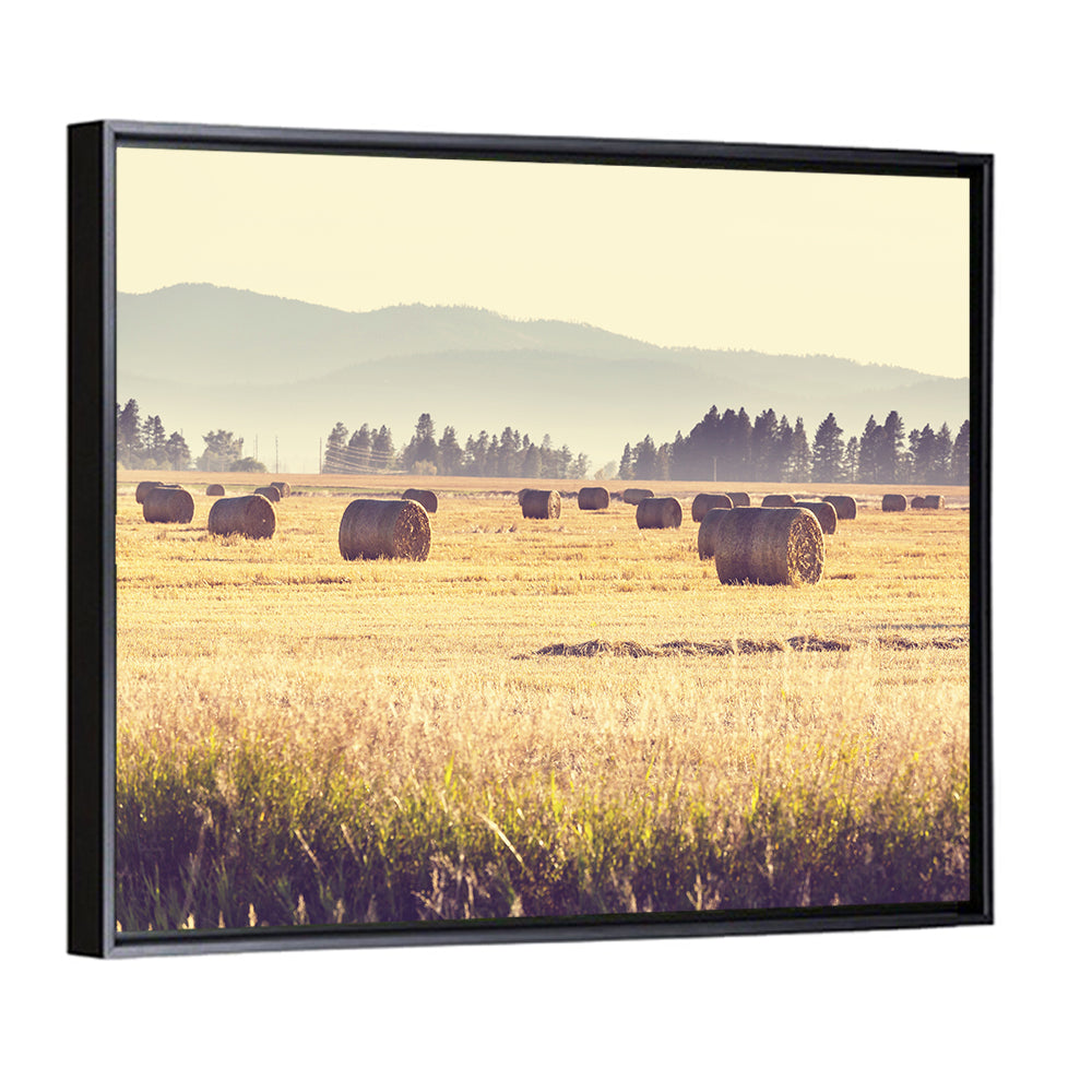 Hay Bales Field Wall Art