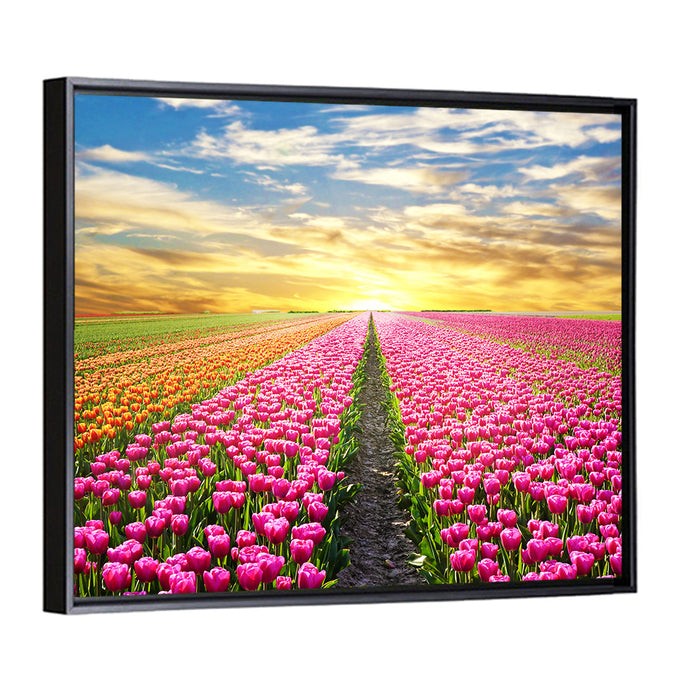 Sunrise Over Tulip Field Wall Art as a framed canvas