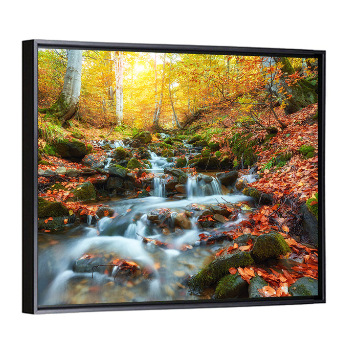 Backlit Autumn Forest Stream Wall Art as a framed canvas
