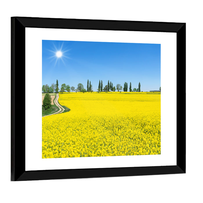 Winding Path Through Rapeseed Field Wall Art as a framed print