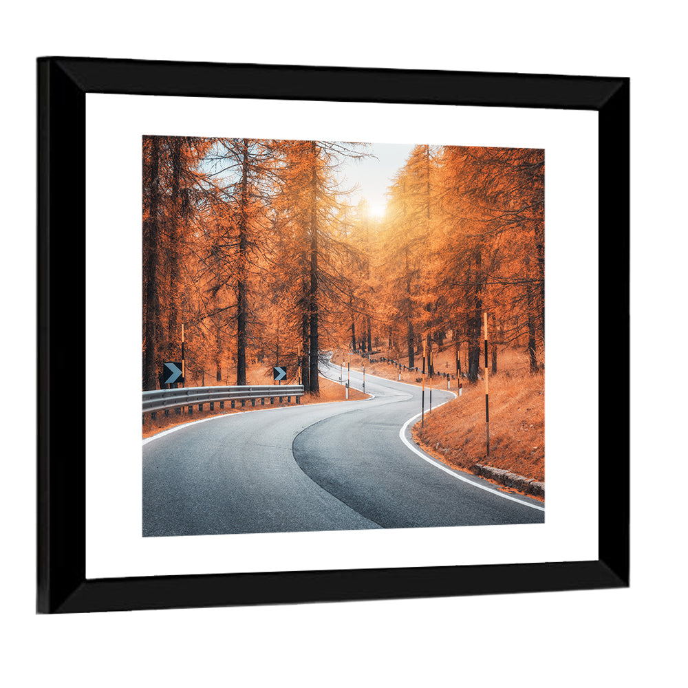 Road In Autumn Forest At Sunset Wall Art