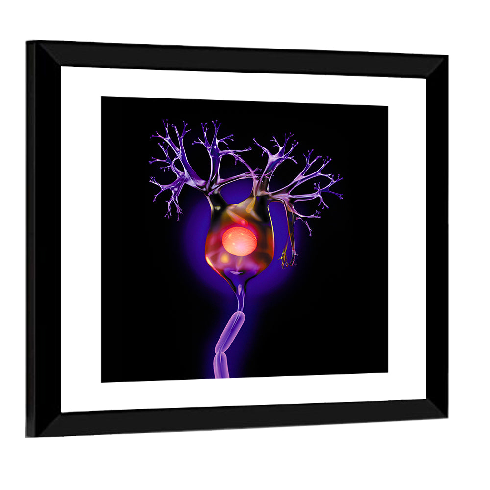 Human Neuron Cell Wall Art
