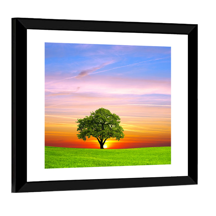 Lone Tree at Sunset Wall Art as a framed print