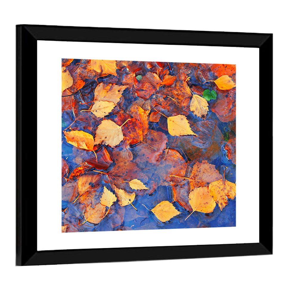 Fall Season Leaves In Rain Puddle Wall Art