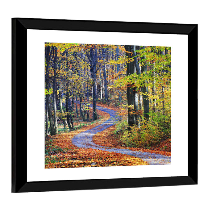Winding Autumn Forest Path Wall Art as a framed print