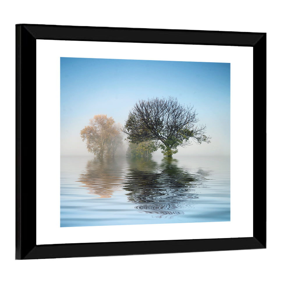 Marvelous Shot Of Nature Wall Art