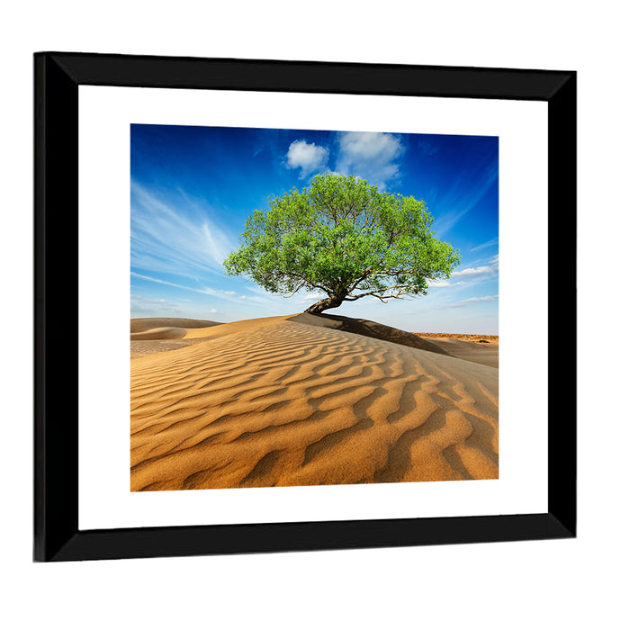 Solitary Green Tree on Sand Dune Wall Art as a framed print