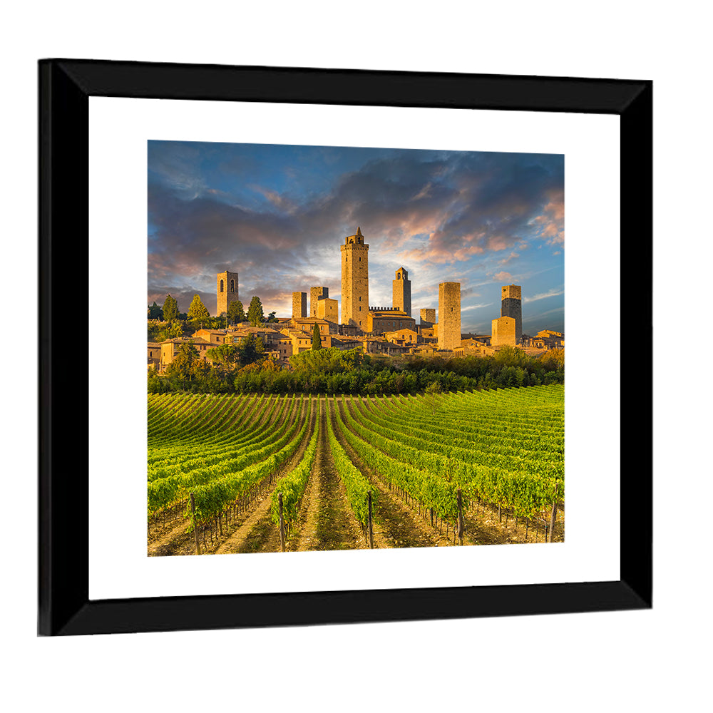 Vineyards Of San Gimignano Tuscany Wall Art